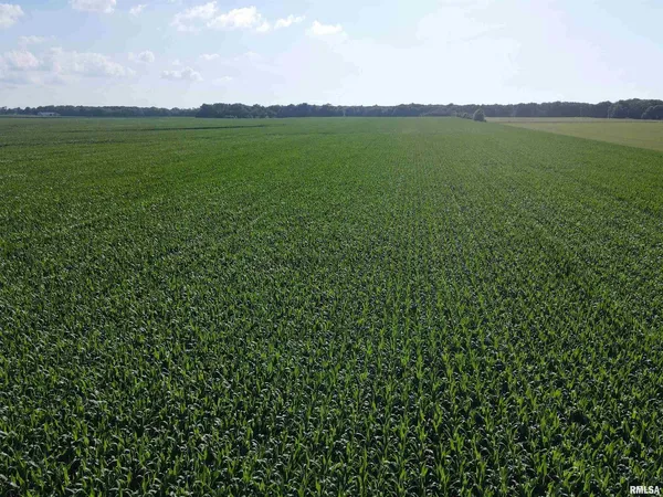 $1,200,000 | 0 East County Road 900 Road, Montrose, IL 62445