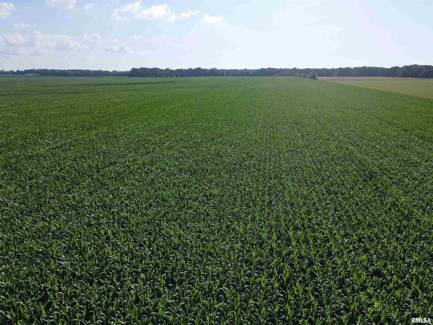 0 East County Road 900 Road Montrose, IL 62445 - Photo 8 of 18 a view of a city with lush green forest