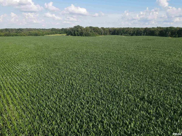 $1,200,000 | 0 East County Road 900 Road, Montrose, IL 62445