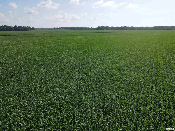 $1,200,000 | 0 East County Road 900 Road, Montrose, IL 62445