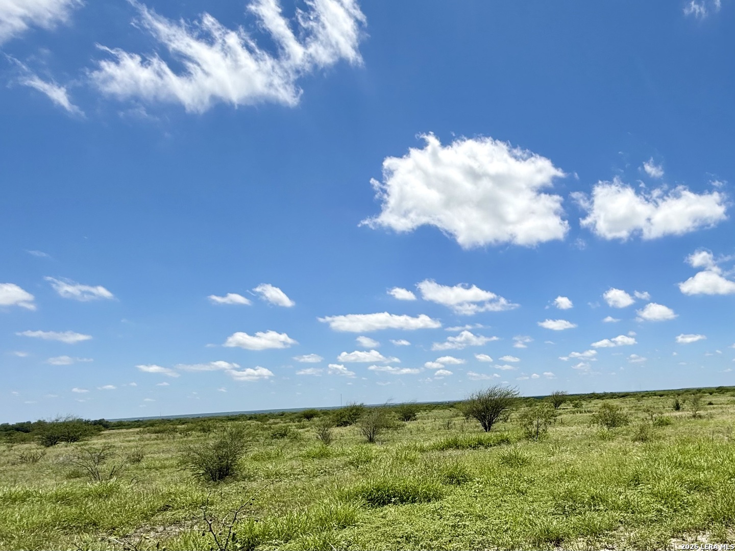0 Cr 235 Three Rivers, TX 78071 - Photo 2 of 15