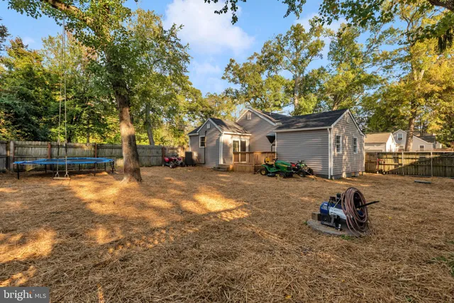 a view of a backyard with a large tree