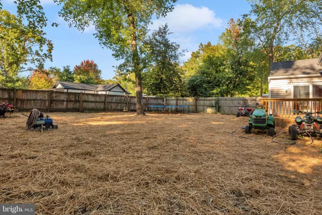 a view of a park with large trees