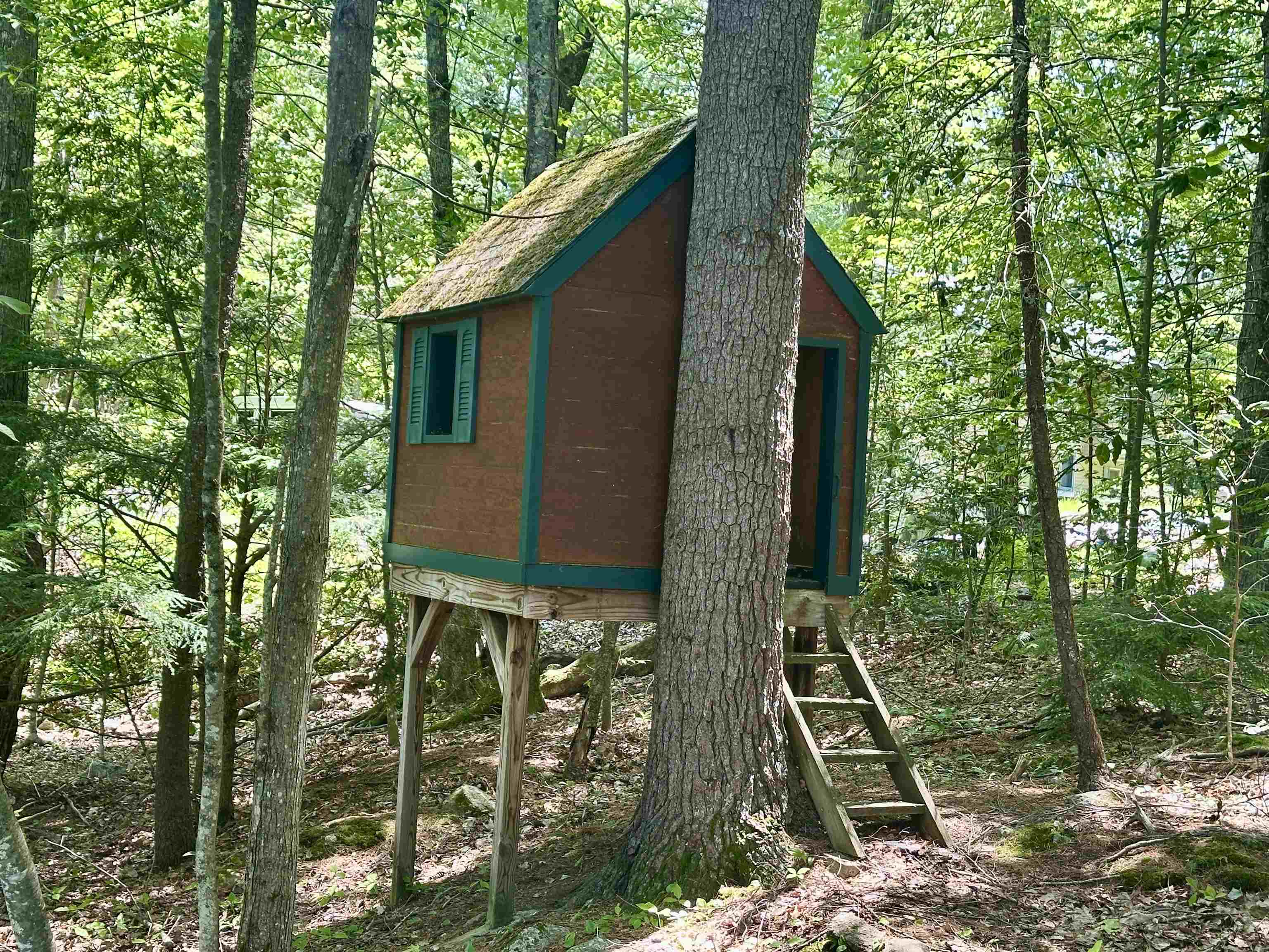 73 Guy's Lane Weare, NH 03281 - Photo 11 of 47