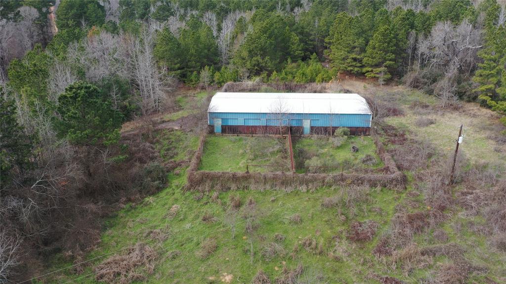 a view of a backyard with large trees