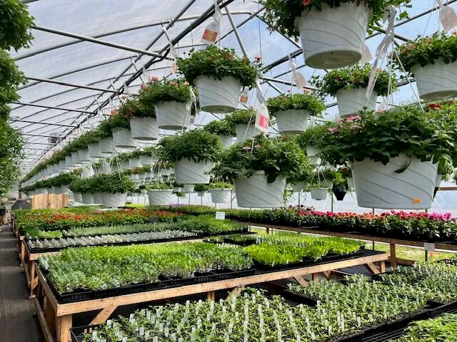 $399,900 | 5417 Archer Road, Brethren, MI 49619