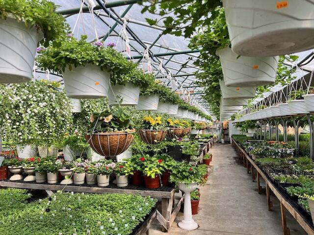 5417 Archer Road Brethren, MI 49619 - Photo 6 of 34 IMG_4779