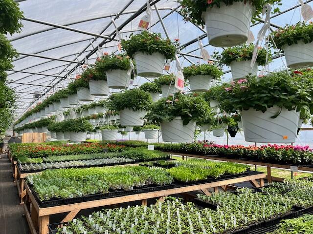 5417 Archer Road Brethren, MI 49619 - Photo 8 of 34 IMG_4781