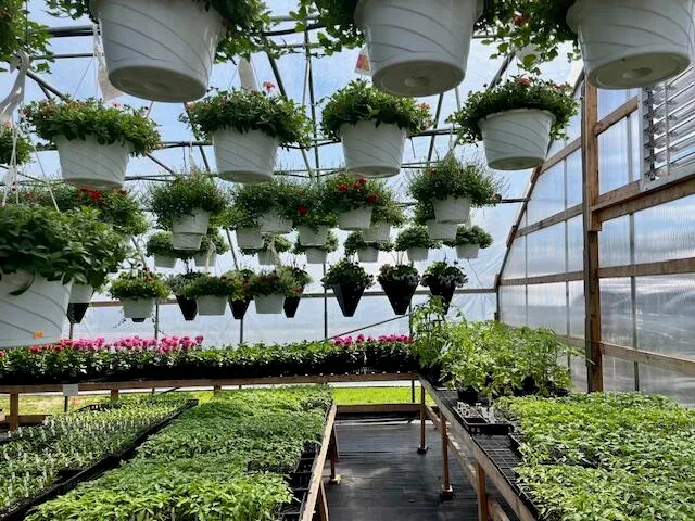 $399,900 | 5417 Archer Road, Brethren, MI 49619