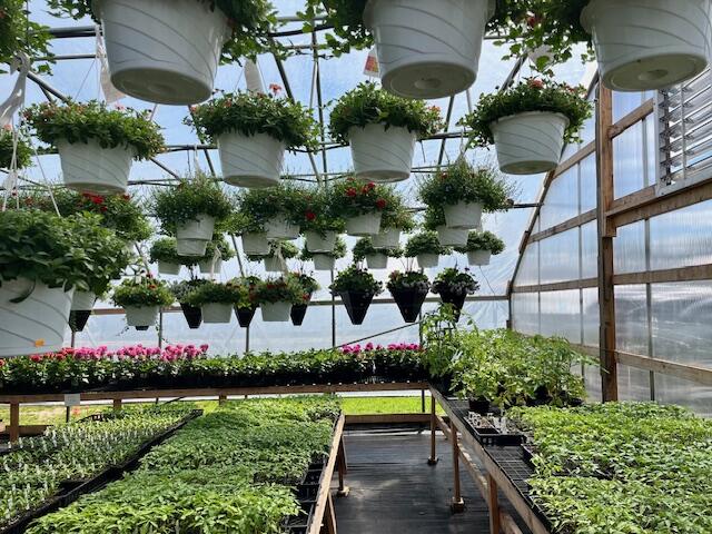 5417 Archer Road Brethren, MI 49619 - Photo 9 of 34 IMG_4780