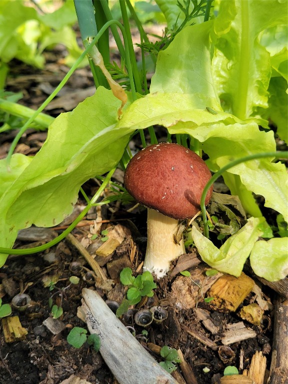 691 Colesville Road Binghamton, NY 13904 - Photo 16 of 19