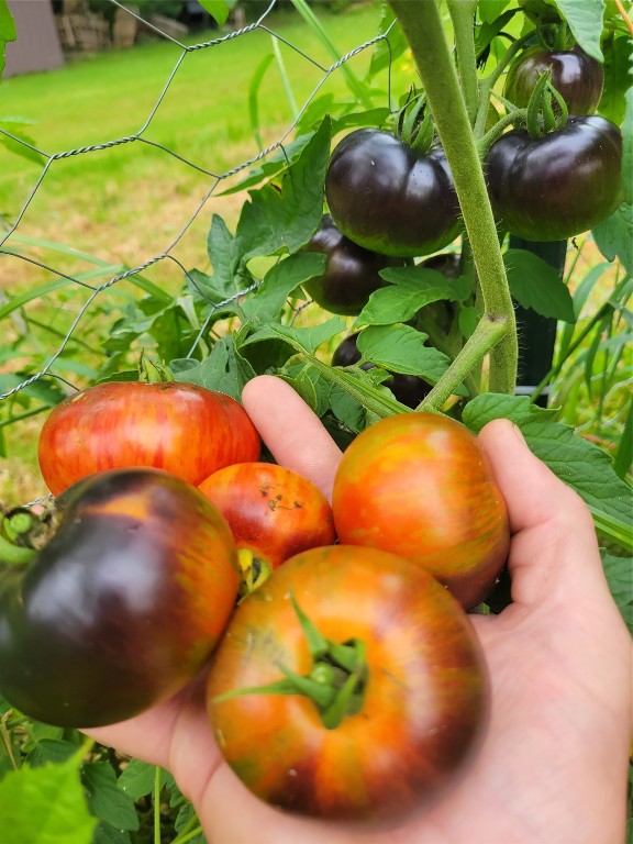 691 Colesville Road Binghamton, NY 13904 - Photo 17 of 19