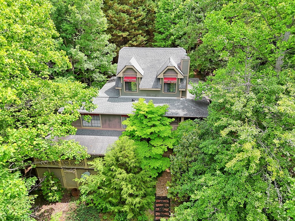 289 Doc Thomas Ridge Road Blairsville, GA 30512 - Photo 8 of 60
