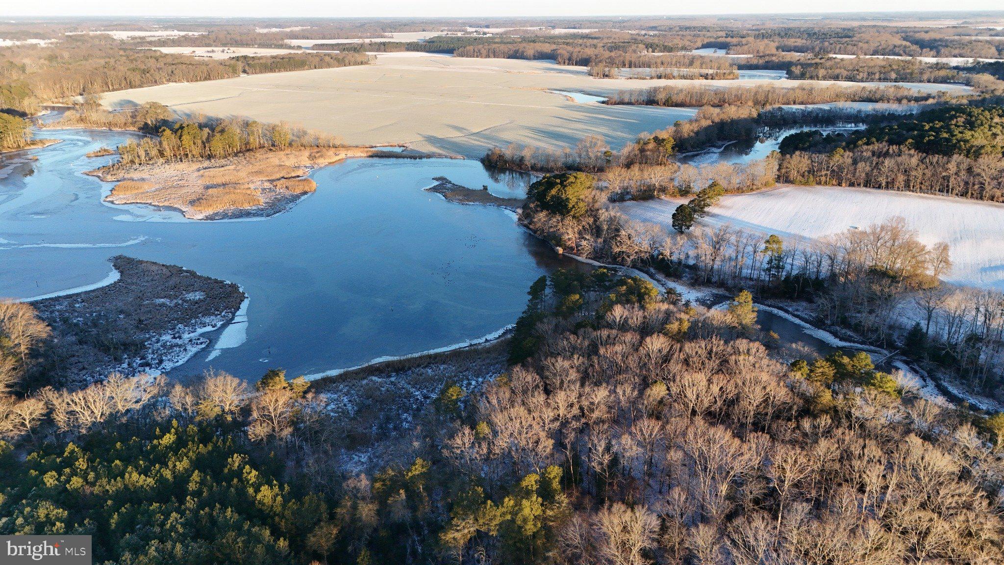 4108 Saulsbury Road Trappe, MD 21673 - Photo 11 of 32