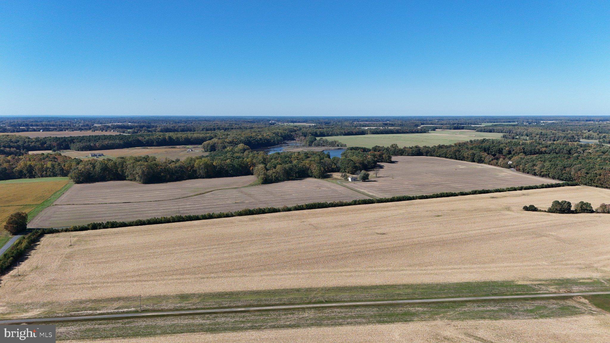 4108 Saulsbury Road Trappe, MD 21673 - Photo 3 of 32