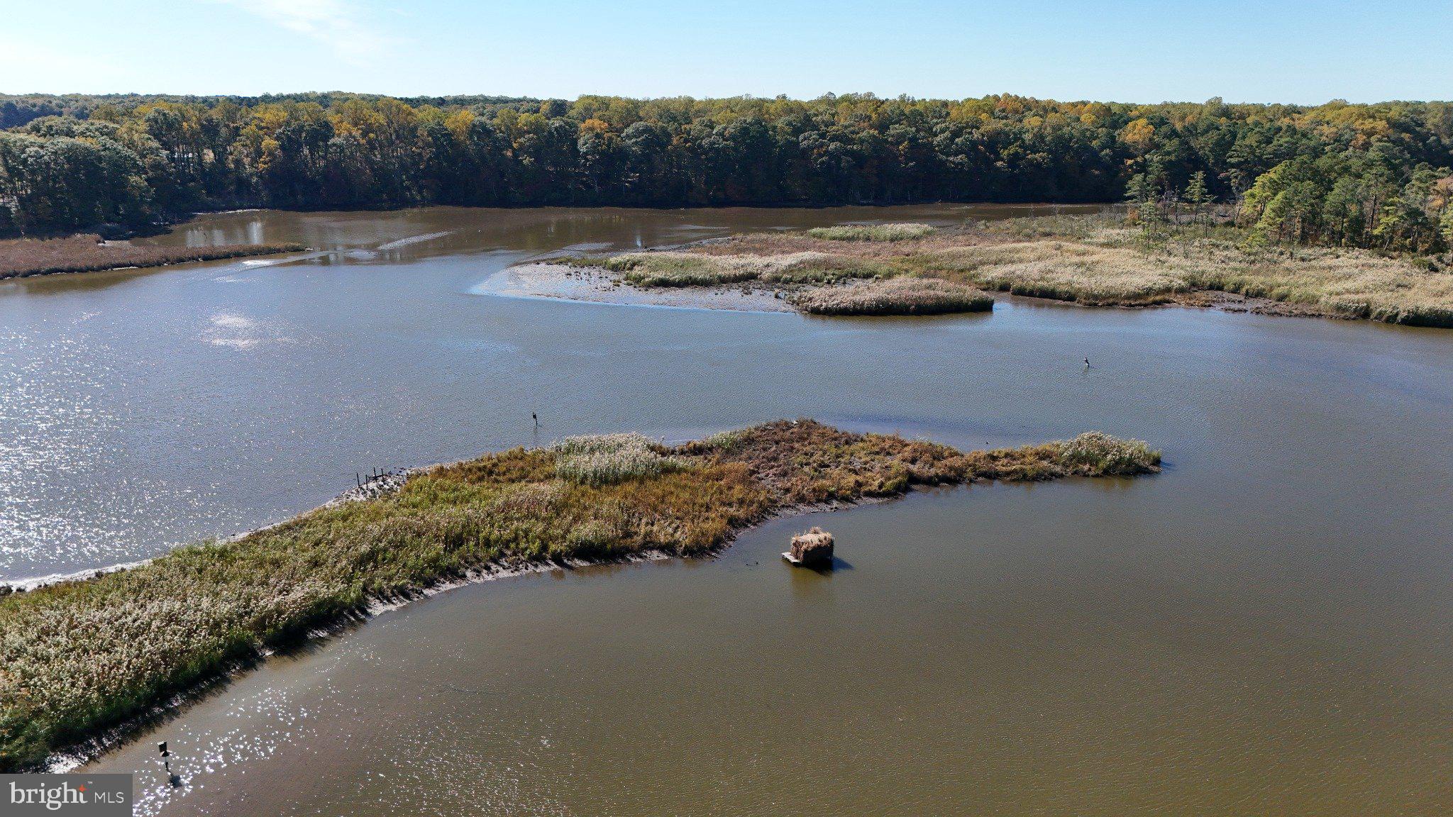 4108 Saulsbury Road Trappe, MD 21673 - Photo 6 of 32