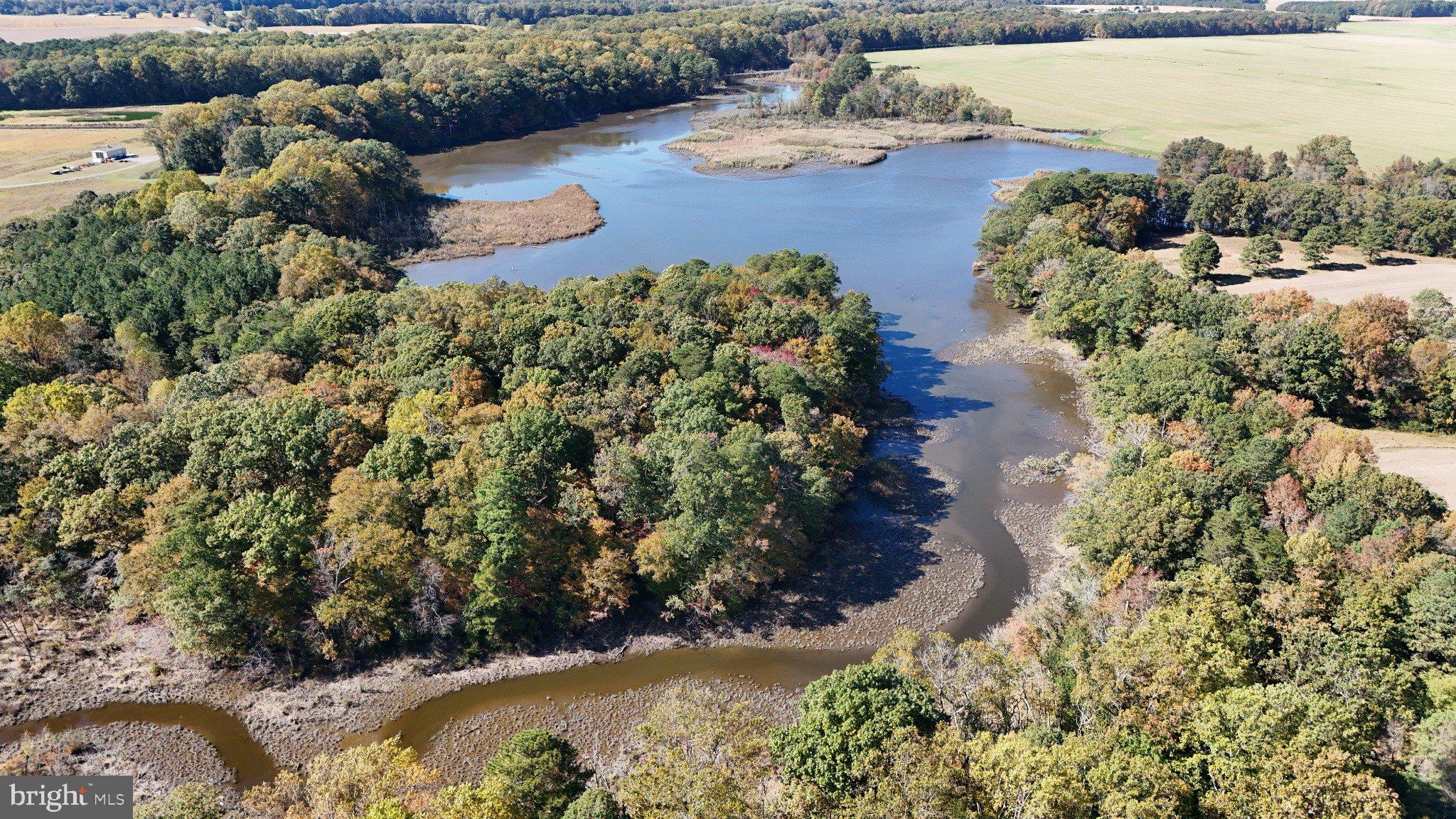 4108 Saulsbury Road Trappe, MD 21673 - Photo 8 of 32