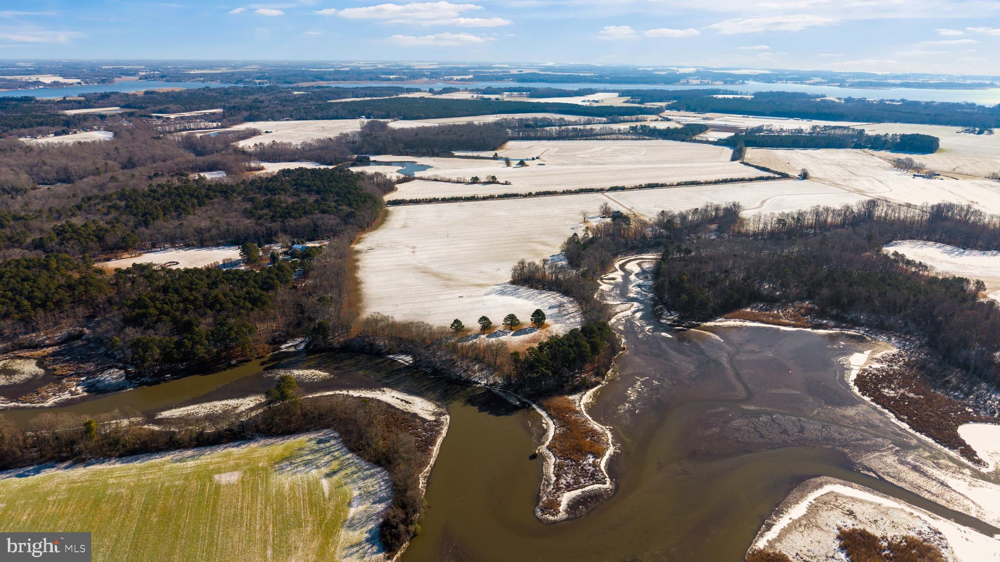 4108 Saulsbury Road Trappe, MD 21673 - Photo 9 of 32