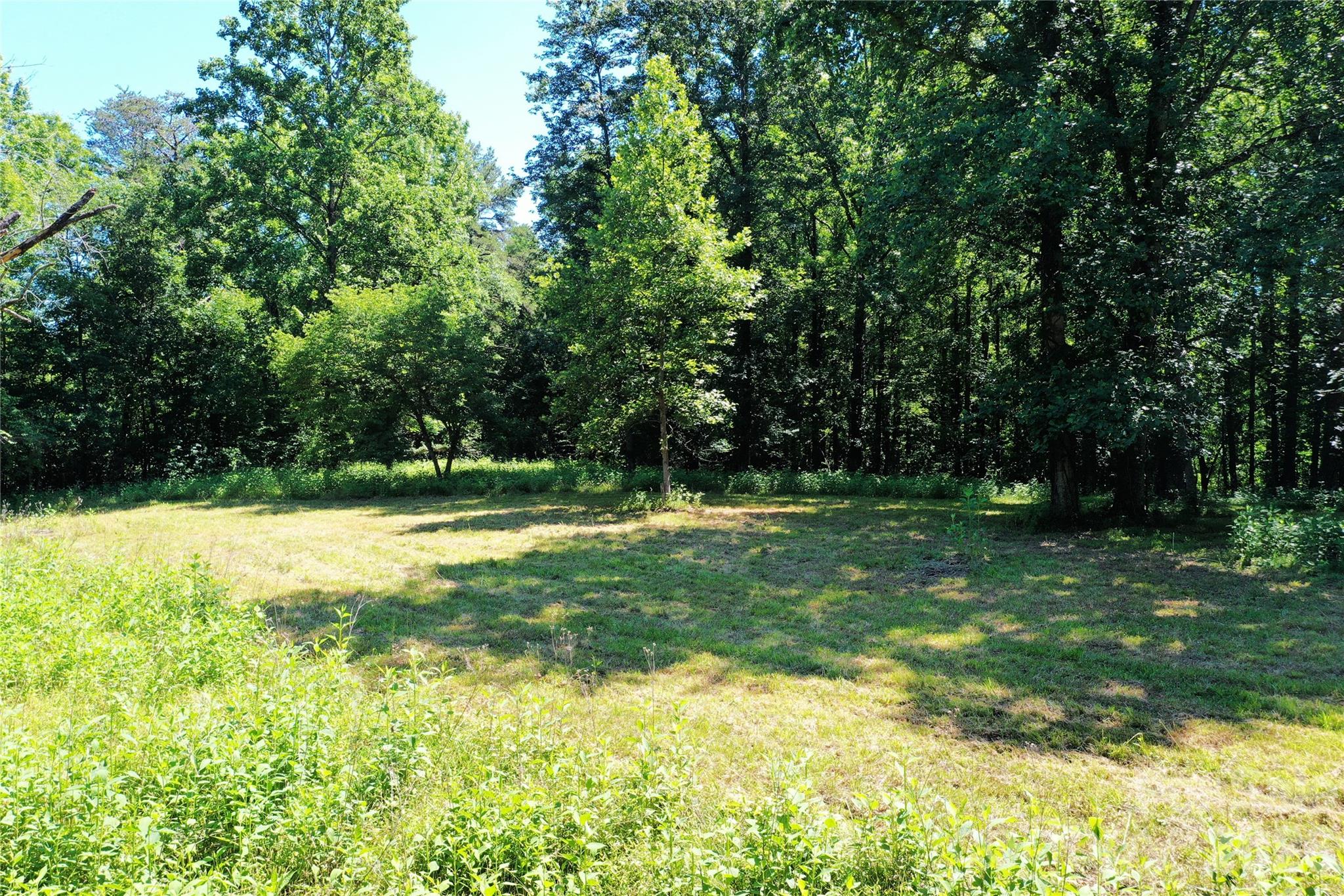 0 River Road Tryon, NC 28782 - Photo 11 of 30