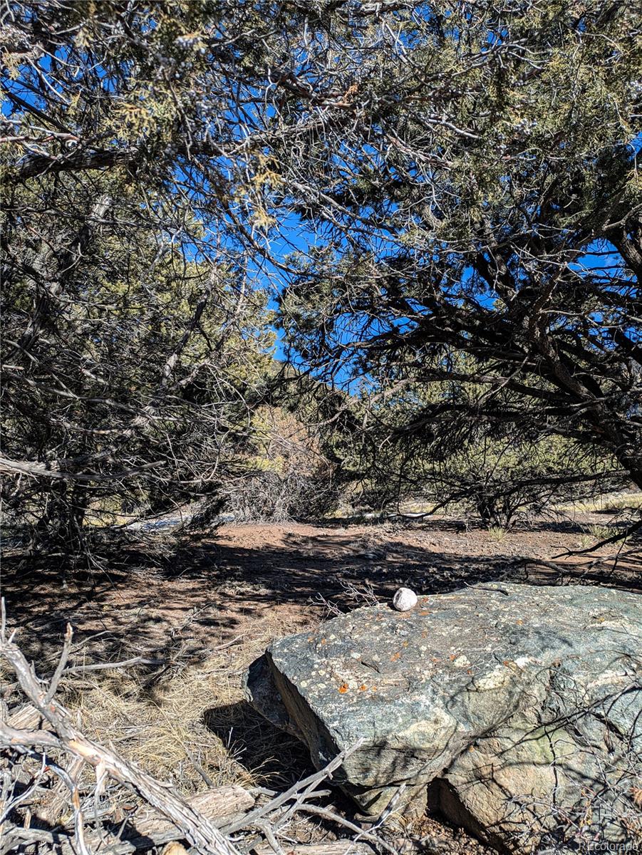 4229 Radiant Crestone, CO 81131 - Photo 11 of 14