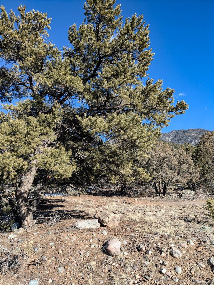 4229 Radiant Crestone, CO 81131 - Photo 13 of 14