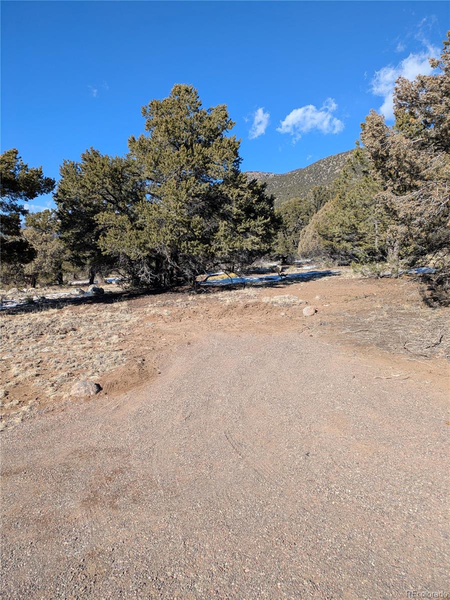 4229 Radiant Crestone, CO 81131 - Photo 3 of 14