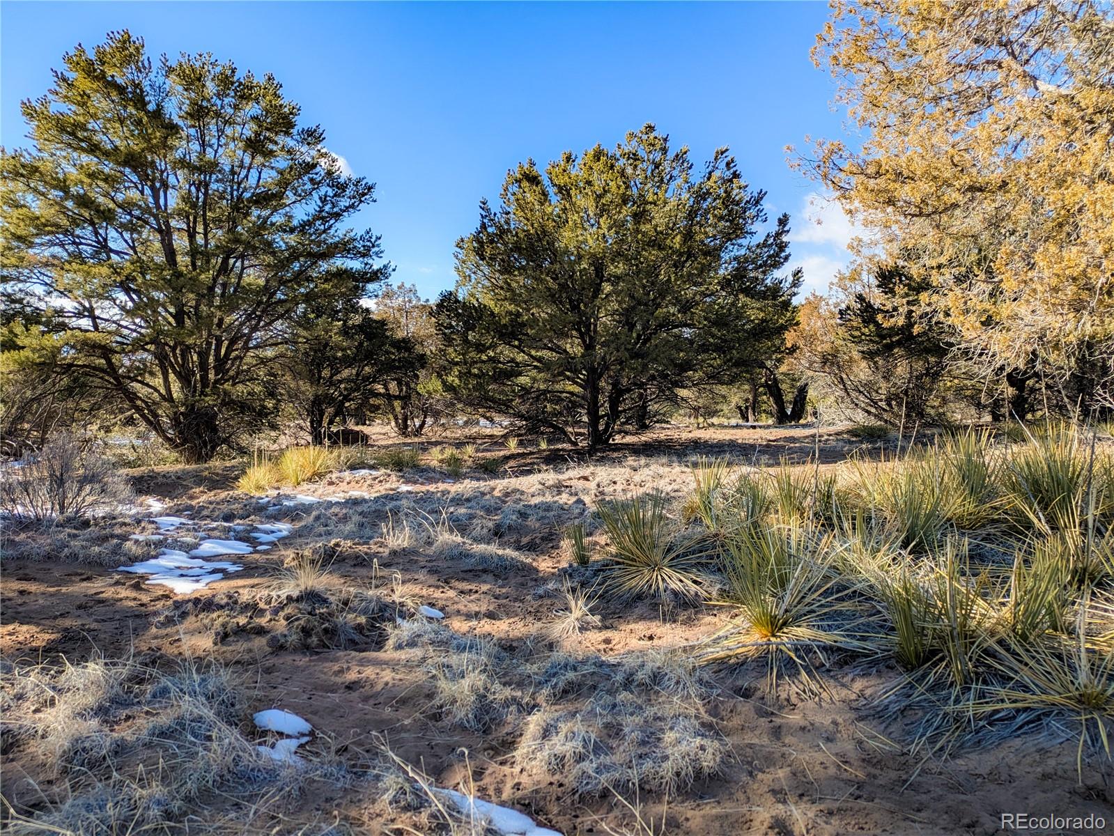 4229 Radiant Crestone, CO 81131 - Photo 5 of 14