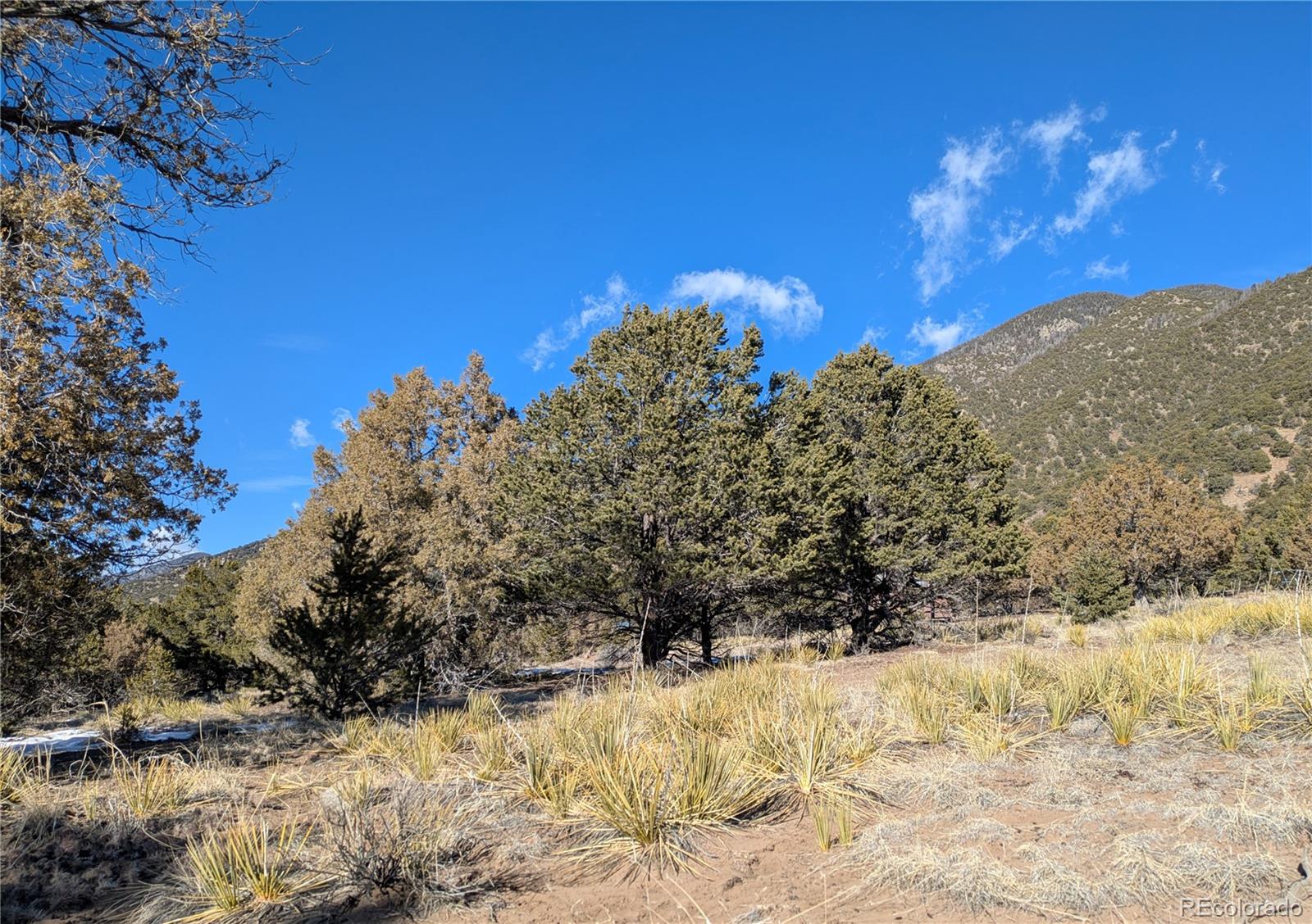 4229 Radiant Crestone, CO 81131 - Photo 6 of 14