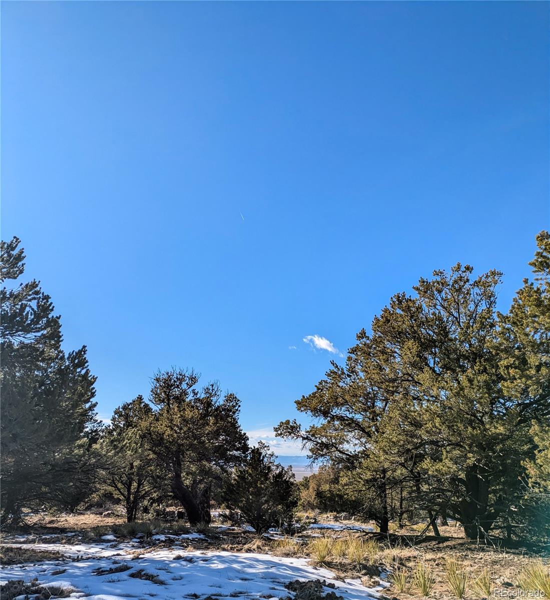4229 Radiant Crestone, CO 81131 - Photo 7 of 14