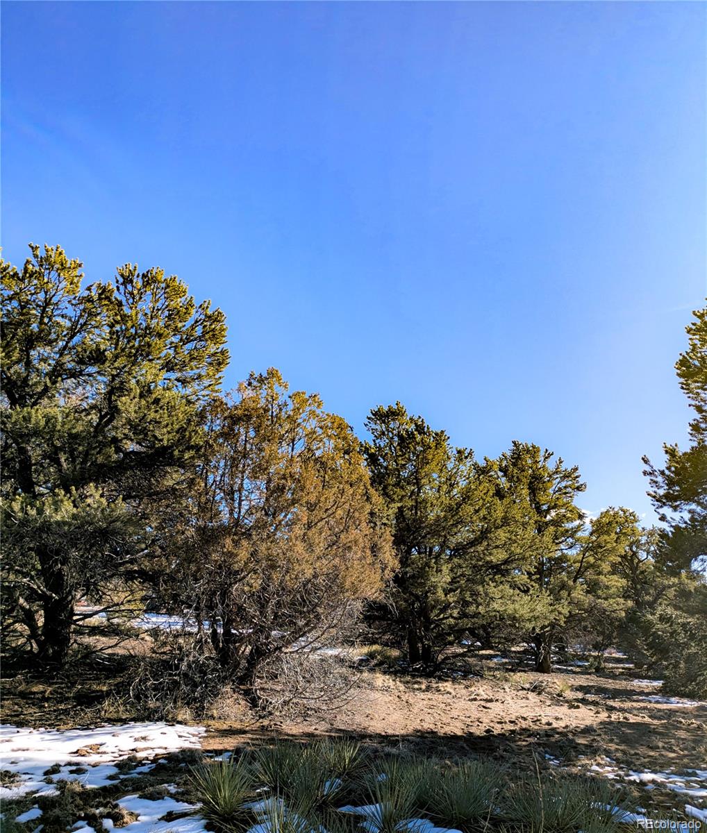 4229 Radiant Crestone, CO 81131 - Photo 8 of 14