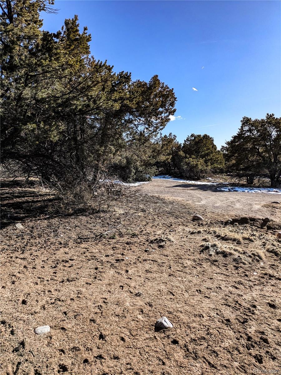 4229 Radiant Crestone, CO 81131 - Photo 9 of 14