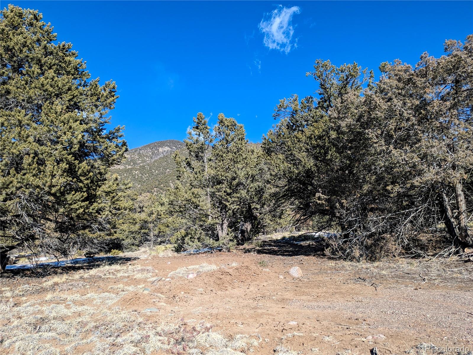 4229 Radiant Crestone, CO 81131 - Photo 10 of 14