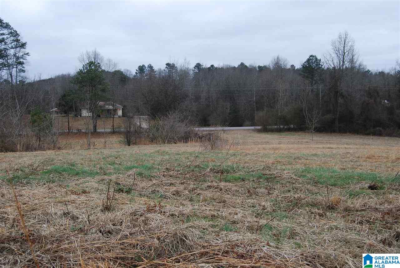 4747 Warrior Jasper Road, Unit 1 Dora, AL 35062 - Photo 7 of 9