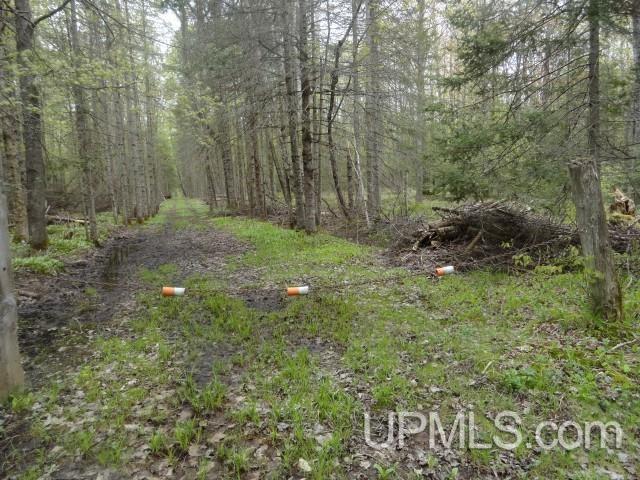 Tbd Tbd Sipila Road Eben Junction, MI 49825 - Photo 7 of 7