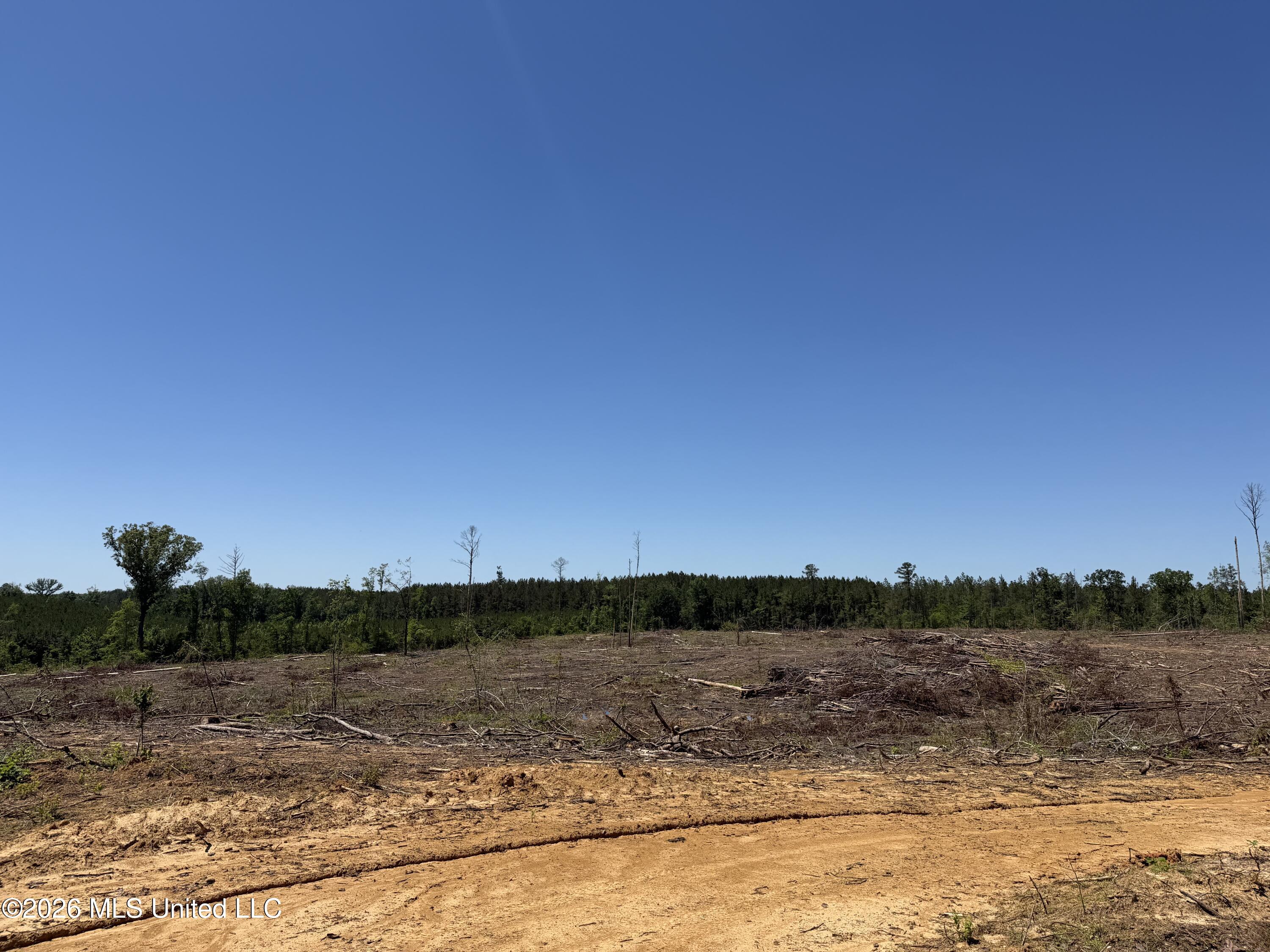 Couparle Road Camden, MS 39045 - Photo 15 of 47 Photo May 12 2026, 2 02 17 PM