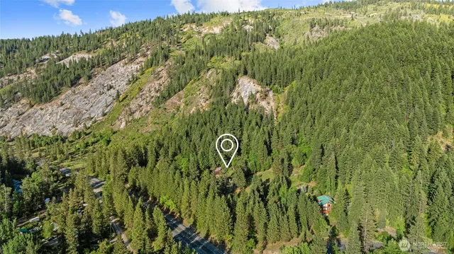 a view of a plant in a garden