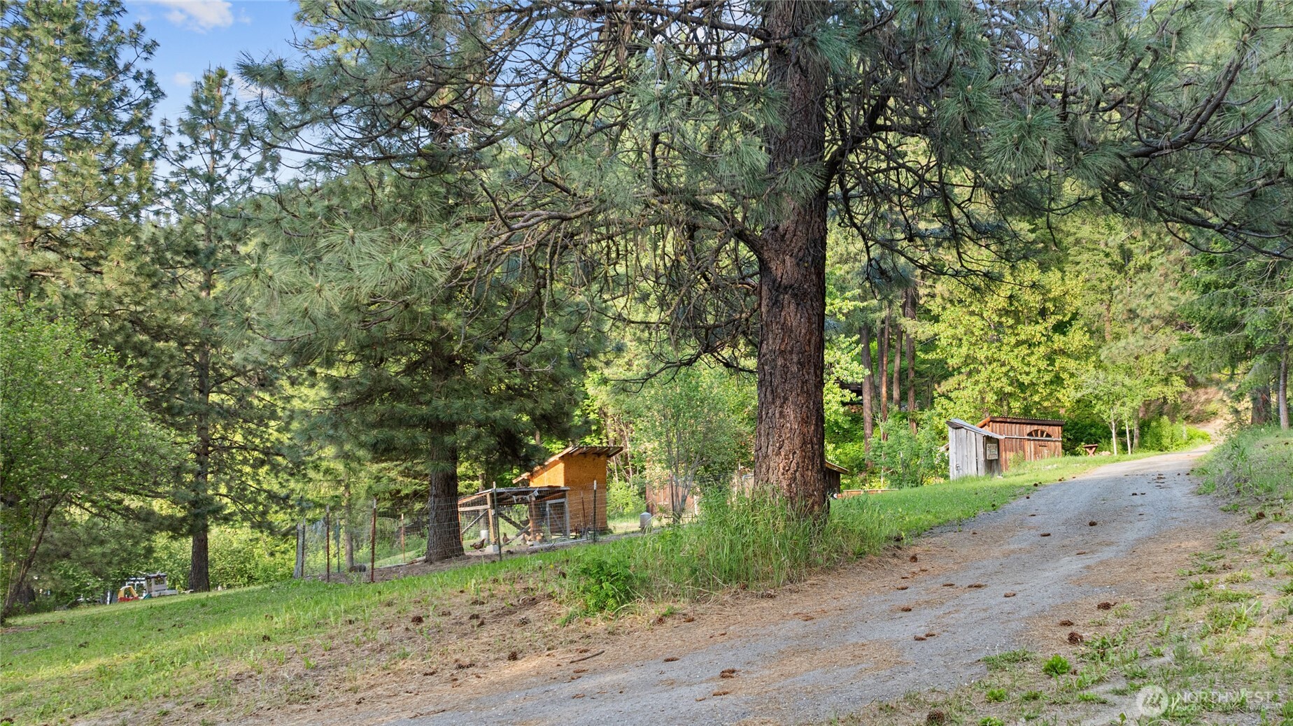 4265 Highway 97 Peshastin, WA 98847 - Photo 34 of 38 a pathway of a yard with plants and trees