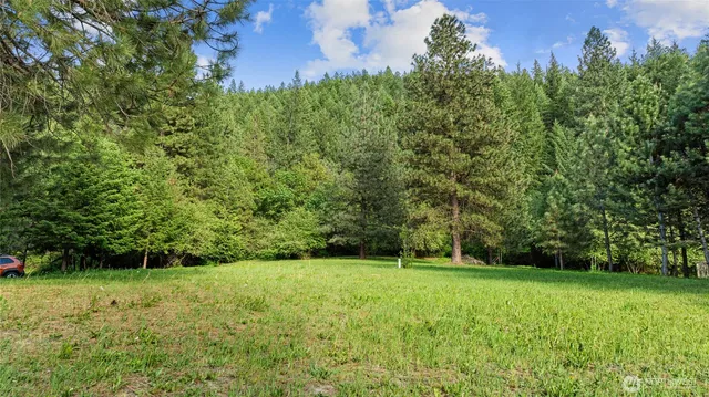 a view of green field with trees in the background