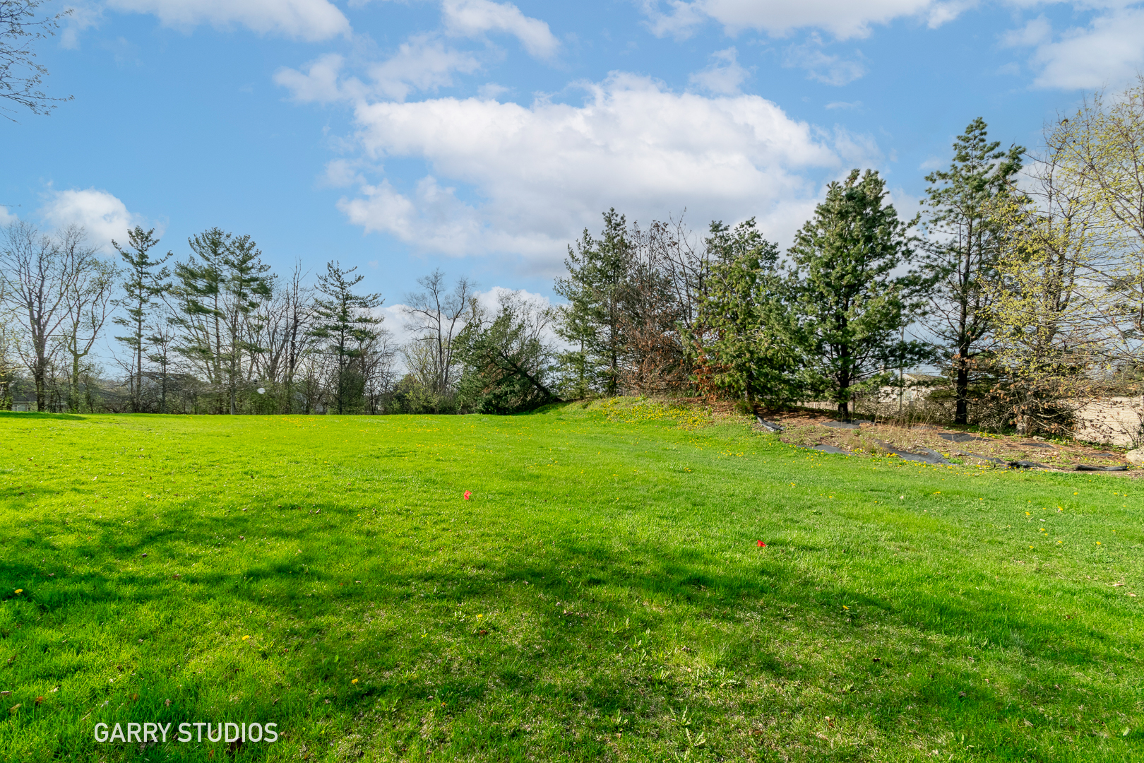 2 Osprey Court Streamwood, IL 60107 - Photo 4 of 5 a view of yard with green space