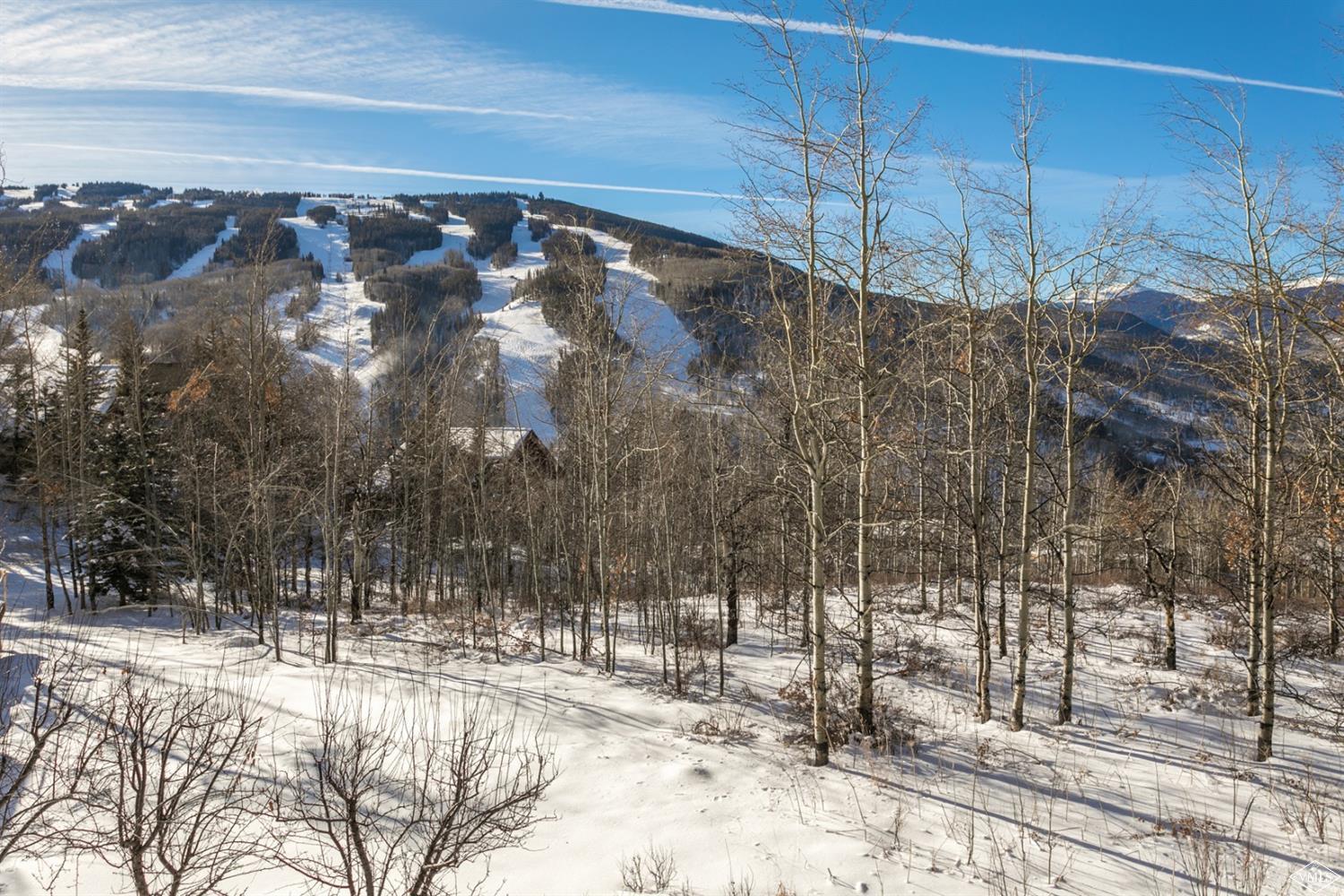 781 Potato Patch Drive Vail, CO 81657 - Photo 38 of 39 a view of a yard covered with snow