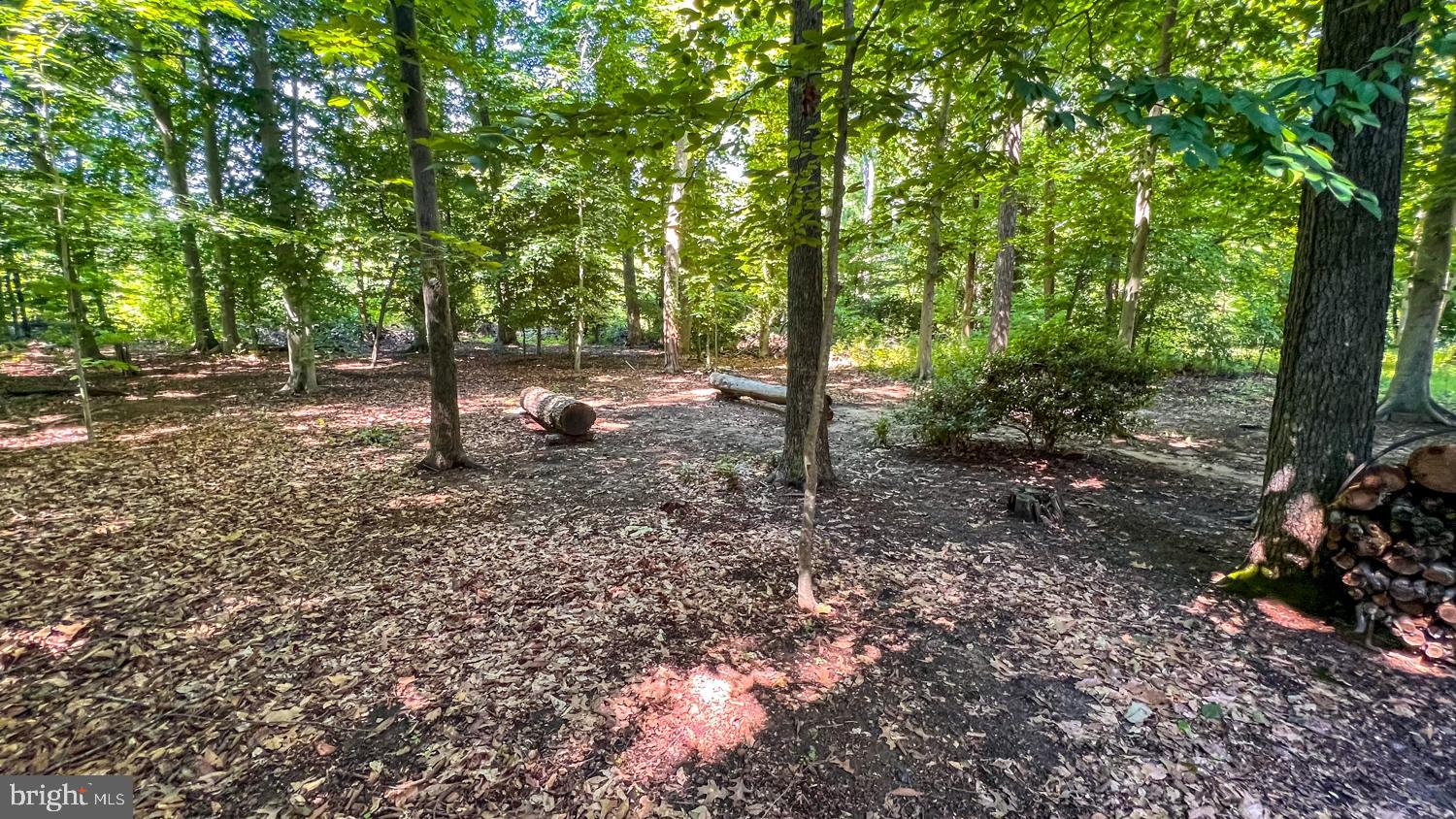 1294 Breckenridge Circle Riva, MD 21140 - Photo 44 of 64 Rear Wooded Area