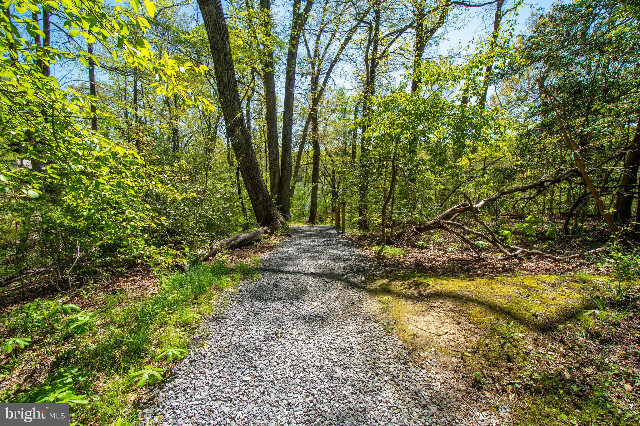 1294 Breckenridge Circle Riva, MD 21140 - Photo 60 of 64 Path To Water