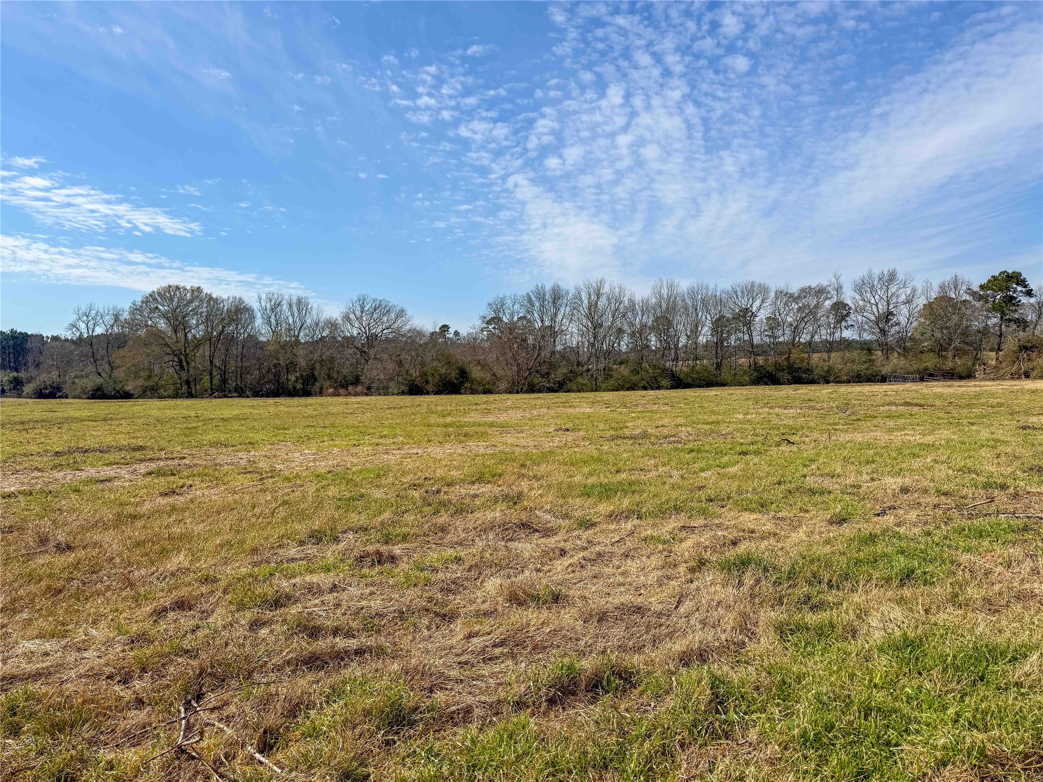 4 County Road 2780 Colmesneil, TX 75938 - Photo 13 of 50 a view of a field with an ocean view