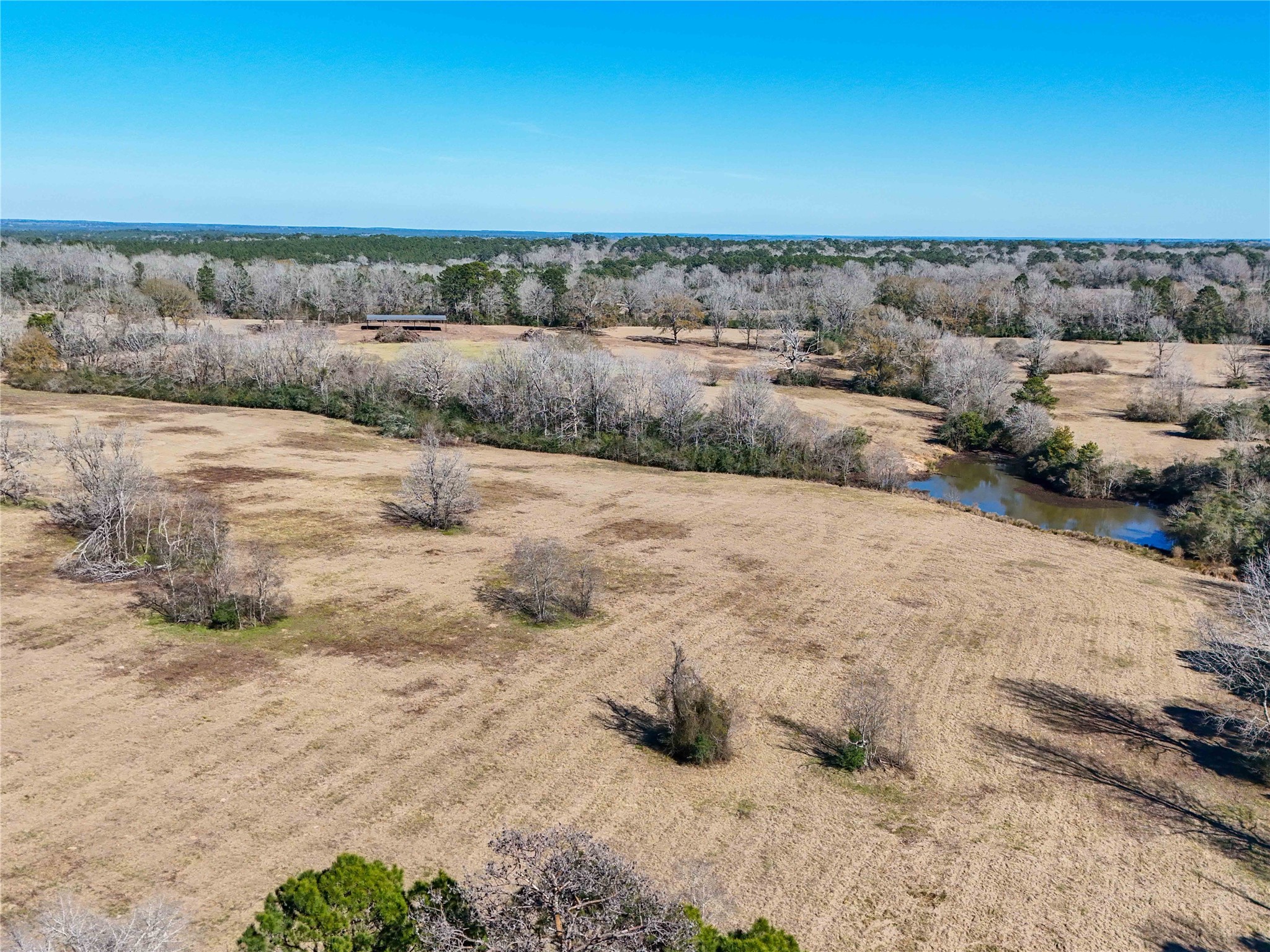 4 County Road 2780 Colmesneil, TX 75938 - Photo 17 of 50 a view of a yard