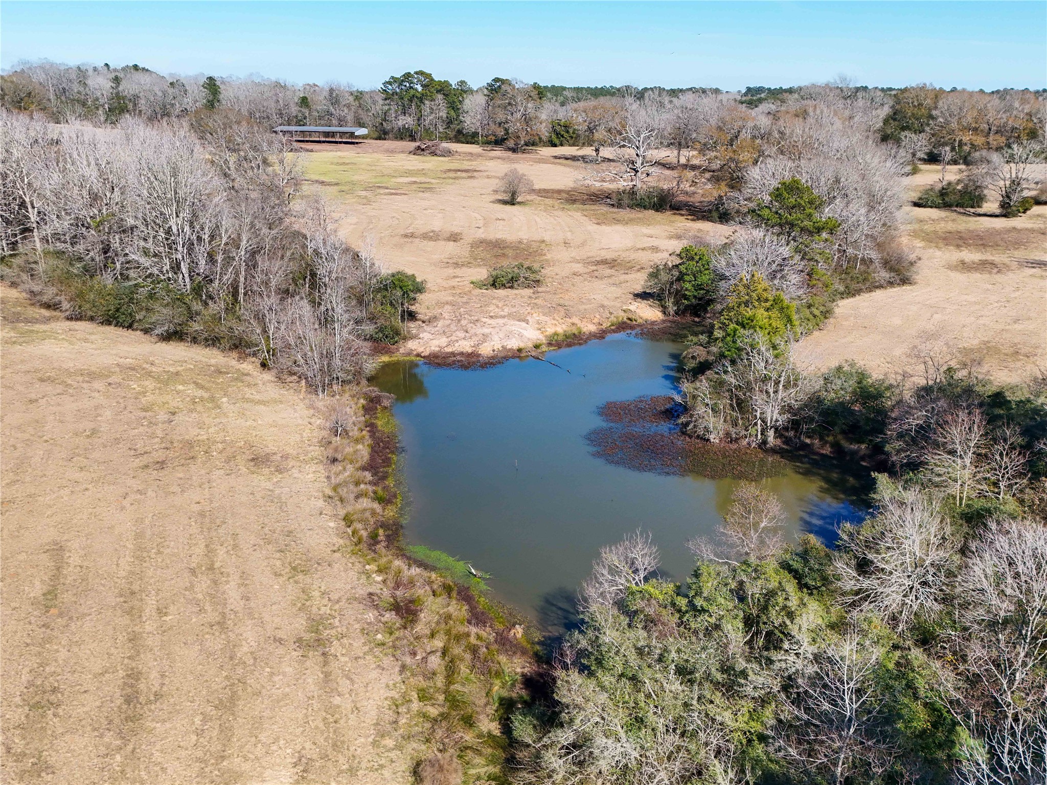 4 County Road 2780 Colmesneil, TX 75938 - Photo 18 of 50 a view of a lake with a mountain in the background