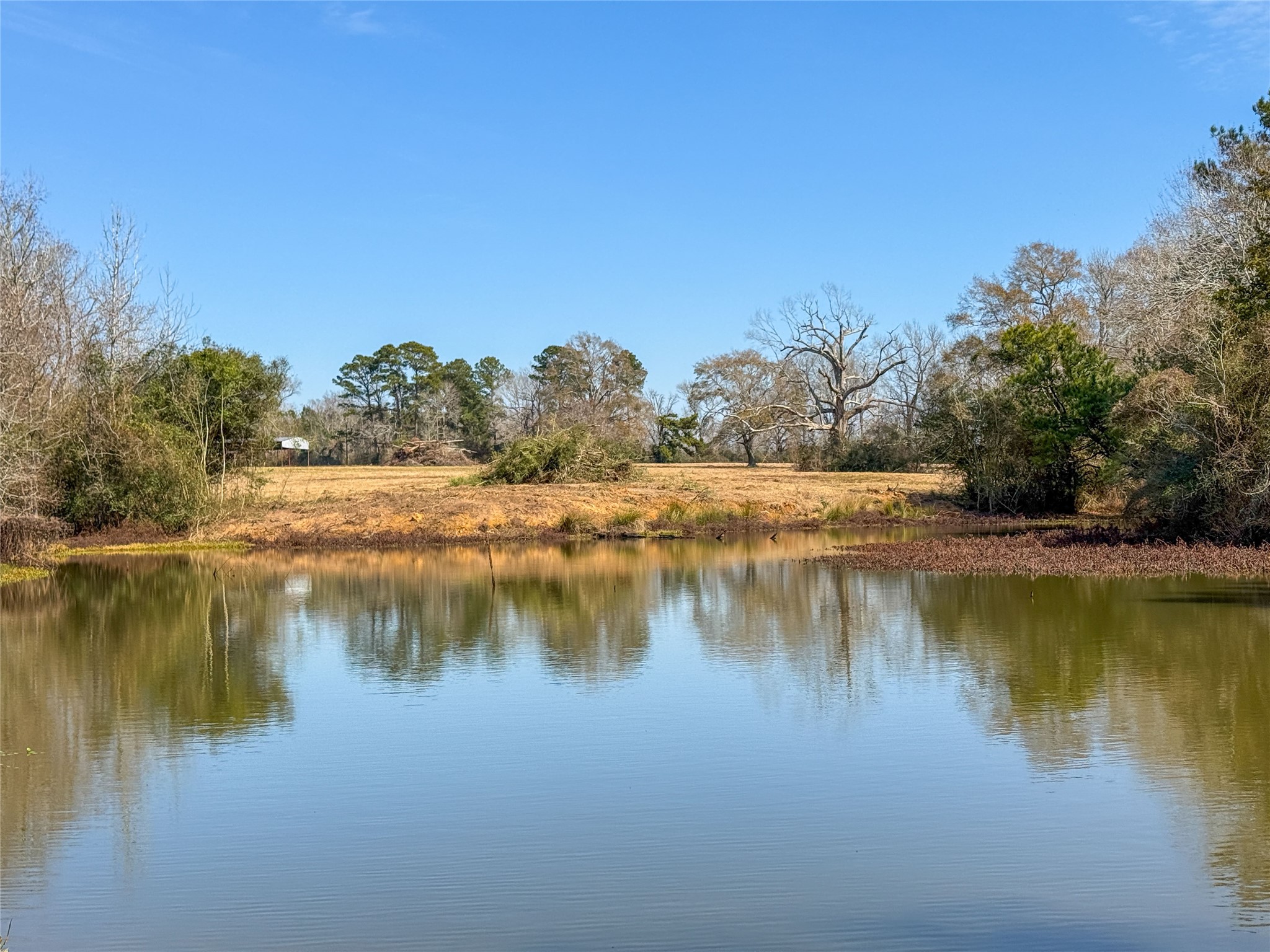 4 County Road 2780 Colmesneil, TX 75938 - Photo 19 of 50 a view of a lake with houses with outdoor space