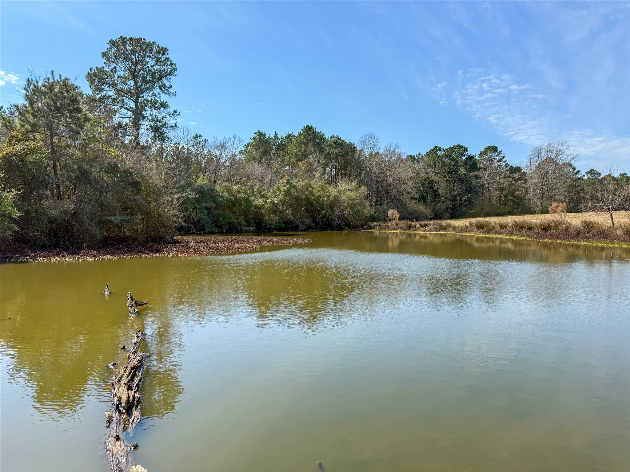 4 County Road 2780 Colmesneil, TX 75938 - Photo 20 of 50 a view of a lake view