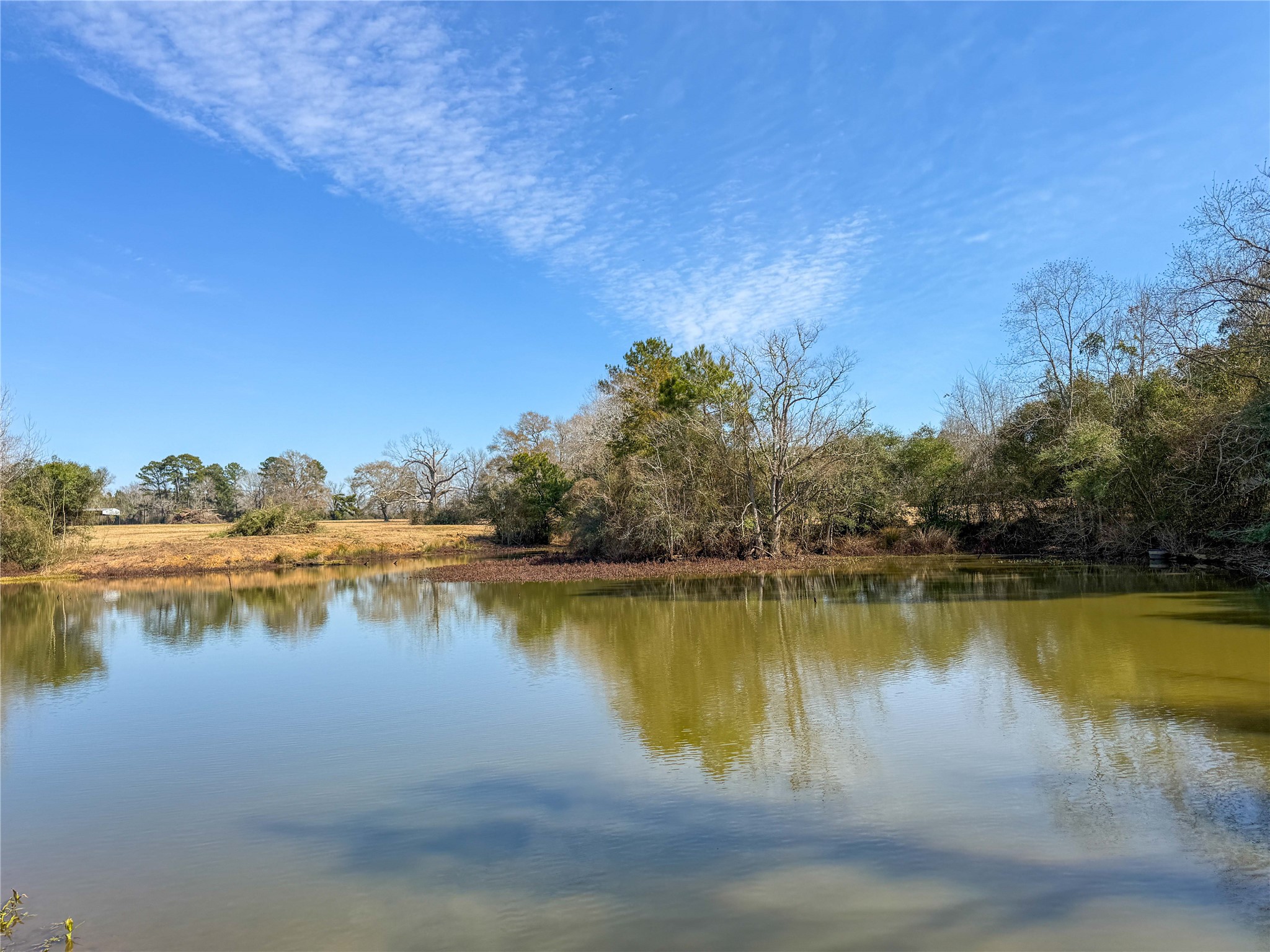4 County Road 2780 Colmesneil, TX 75938 - Photo 2 of 50 a view of a lake with houses in the back