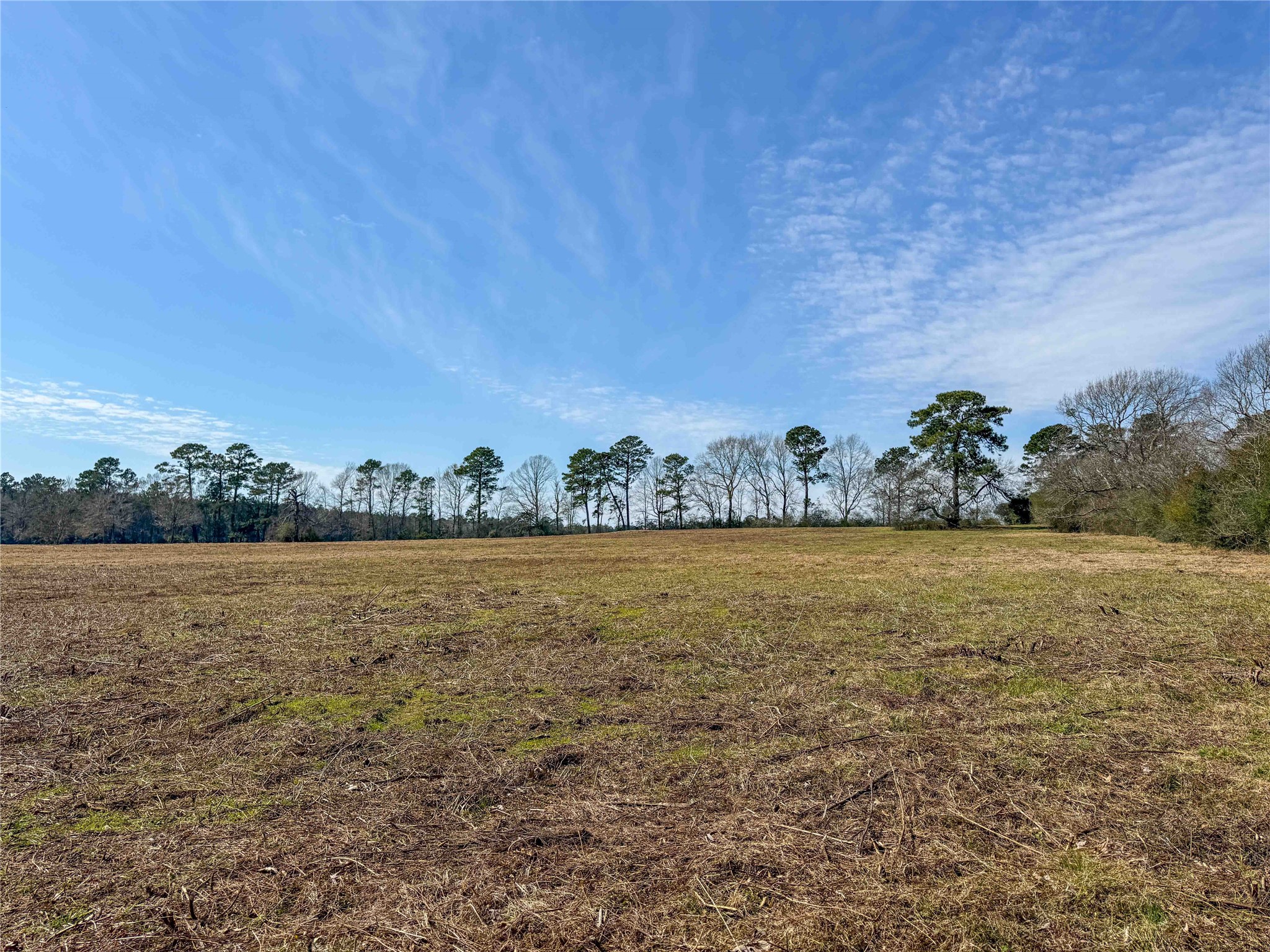 4 County Road 2780 Colmesneil, TX 75938 - Photo 22 of 50 a view of an ocean