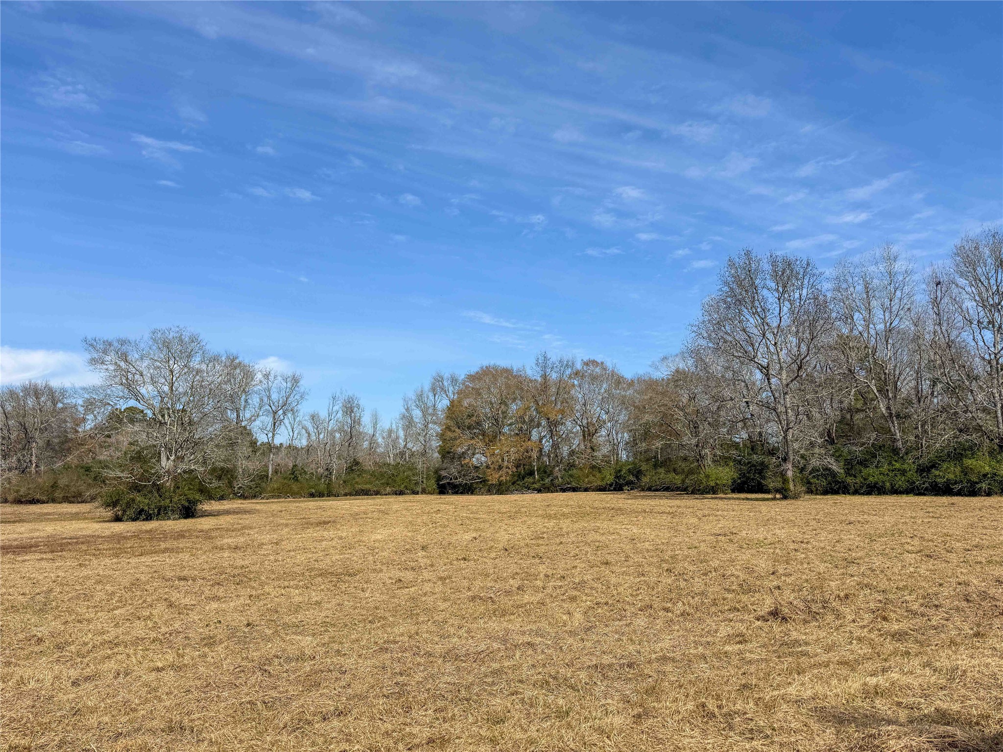 4 County Road 2780 Colmesneil, TX 75938 - Photo 28 of 50 a view of lake and mountain